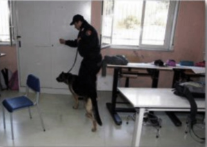 foto_Carabinieri_Cinofili_001