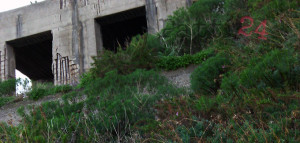 Armi_Mongiove_003