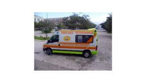 ambulanza_veterinaria_Messina_001