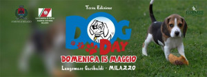 dog_day_Milazzo_003