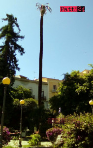 palma_villa_003