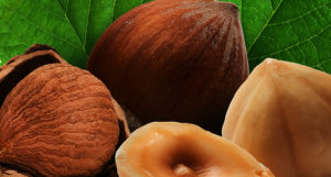 nocciola_002