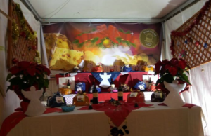 mercatini_villa_003
