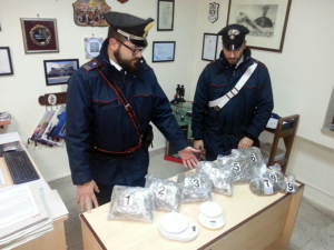 marijuana_nel_bagagliaio_001