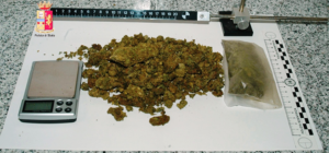 sequestro_marijuana_17_02_2017