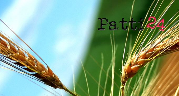 PATTI – Convegno sulle prospettive del piano di sviluppo agricolo 2014/2020