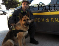 MESSINA – Arrestato 35enne palermitano con 2 Kg di cocaina in auto, fiutata dai cani delle Fiamme gialle