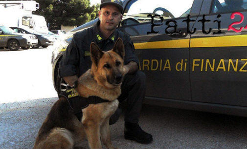 MESSINA – Arrestato 35enne palermitano con 2 Kg di cocaina in auto, fiutata dai cani delle Fiamme gialle