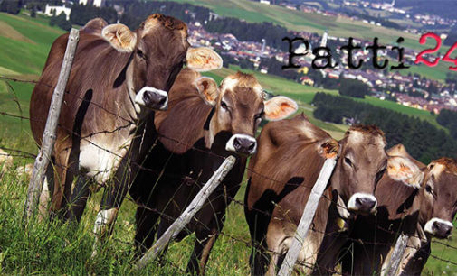 SANT’AGATA MILITELLO – La Polizia sequestra capi di bestiame non sottoposti a verifica sanitaria