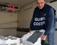 MILAZZO – “Minimum Size”, operazione di contrasto alla pesca illegale della Guardia Costiera, sequestro a Villafranca, irregolarità a Patti , Torrenova e Sant’agata