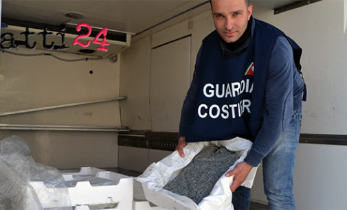 MILAZZO – “Minimum Size”, operazione di contrasto alla pesca illegale della Guardia Costiera, sequestro a Villafranca, irregolarità a Patti , Torrenova e Sant’agata