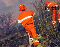 MESSINA – Sono partite questa mattina le procedure per l’avviamento dei lavoratori forestali del servizio antincendio