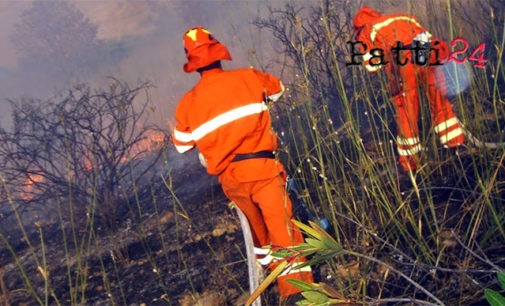 MESSINA – Sono partite questa mattina le procedure per l’avviamento dei lavoratori forestali del servizio antincendio