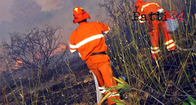 MESSINA – Sono partite questa mattina le procedure per l’avviamento dei lavoratori forestali del servizio antincendio