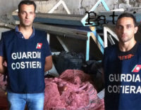 MILAZZO – Lotta alla pesca illegale, Guardia Costiera individua e sanziona irregolarità a Falcone e nel Golfo di Patti