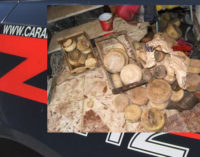 FONDACHELLI FANTINA – Sequestrati 120 capi di bestiame e 100 kg di formaggi in cattivo stato di conservazione