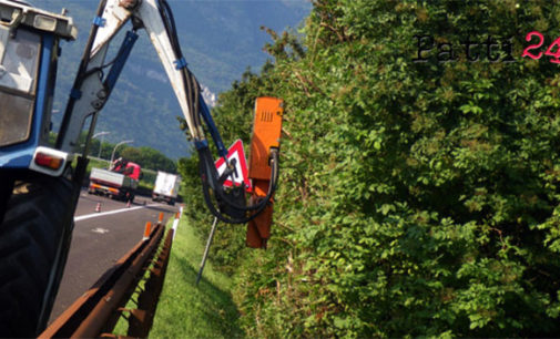 MESSINA – A20. Sfalcio arbusti e cespugli tratta Falcone-S. Agata di Militello e abbattimento palme infette da punteruolo rosso