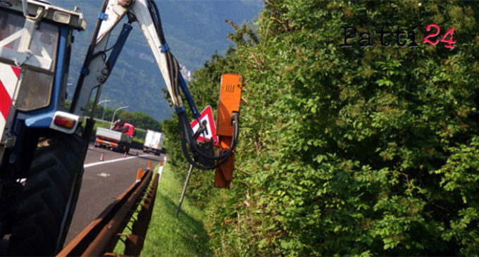 MESSINA – A20. Sfalcio arbusti e cespugli tratta Falcone-S. Agata di Militello e abbattimento palme infette da punteruolo rosso