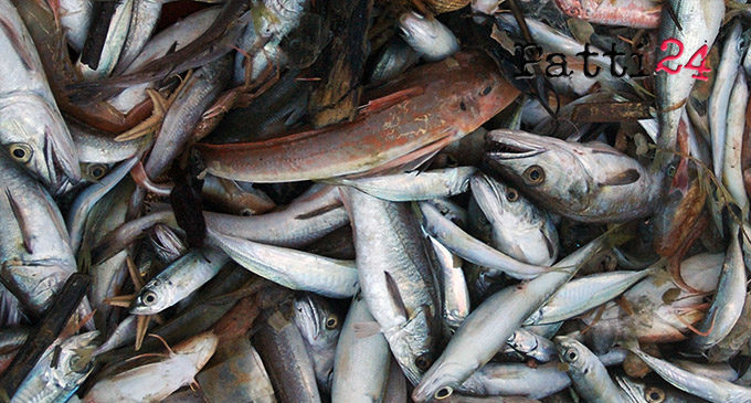 OLIVERI – ”Segui le tracce. Viaggio tra i prodotti ittici”, domani, lunedì 14 convegno conclusivo