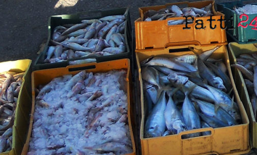 MESSINA – Guardia Costiera denuncia 3 venditori di pesce abusivi, pesce distrutto perché in pessime condizioni
