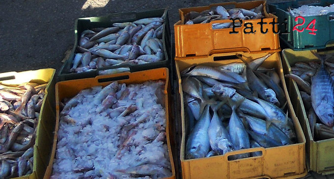 MESSINA – Guardia Costiera denuncia 3 venditori di pesce abusivi, pesce distrutto perché in pessime condizioni