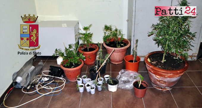 MESSINA – Sorvegliato speciale coltivava marijuana nel suo appartamento, arrestato