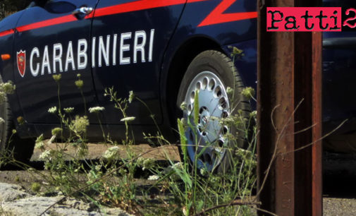 NEBRODI – Scoperta vasta coltivazione di canapa indiana. Arrestato assessore comunale di San Teodoro, coltivava insieme al fratello (aggiornamento)