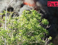 MESSINA – Emergenza incendi. M5S: ”I comuni aggiornino i catasti”