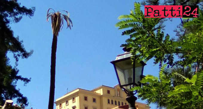 PATTI – Dopo oltre 140 anni di vita verrà rimossa stamattina in villa Umberto 1° la palma denominata Phoenix
