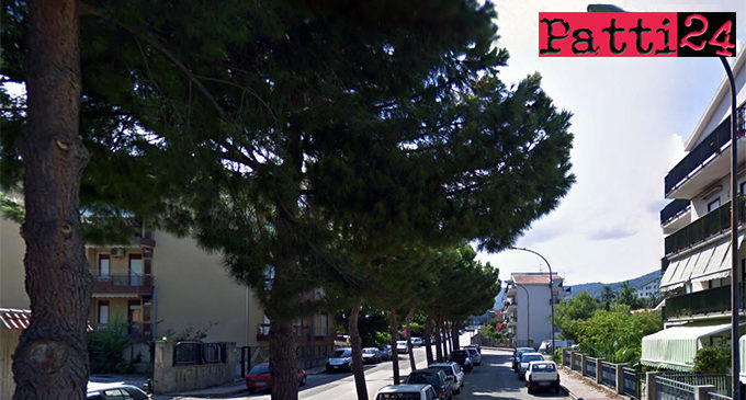 PATTI – Privi di manutenzione i pini piantati in via Aldo Moro creano problemi di assoluto rilievo