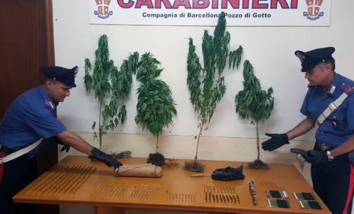 BARCELLONA P.G.  – Marijuana e munizioni. Arrestato 23enne