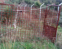 SAN PIERO PATTI – Sequestrata una gabbia a ghigliottina per la cattura dei cinghiali