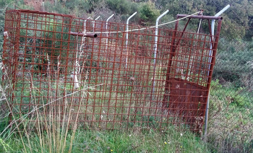 SAN PIERO PATTI – Sequestrata una gabbia a ghigliottina per la cattura dei cinghiali