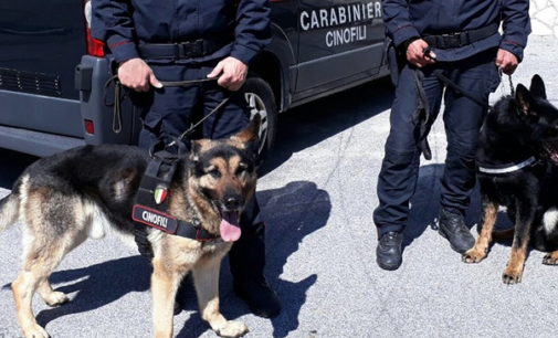 MESSINA – Controlli a tappeto dei Carabinieri: arresti e denunce nella zona Sud