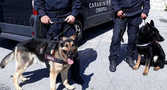 MESSINA – Controlli a tappeto dei Carabinieri: arresti e denunce nella zona Sud