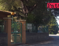 PATTI – Taglio dei pini zona asilo nido comunale. Il Coordinamento delle Consulte Territoriali lancia una petizione