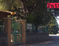 PATTI – Reti plastificate sui pini attorno asilo nido “Marilena Faranda”, per contenere caduta aghi ed escrementi dei piccioni.