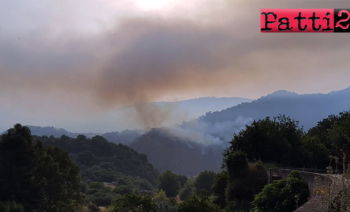 PATTI – Diversi roghi hanno causato ingenti danni  alla vegetazione e alle diverse aziende ed imprese coinvolte