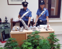 MESSINA – 3 kg di marijuana, occultati in sacchetti sottovuoto celati in diversi nascondigli dell’abitazione. Un arresto