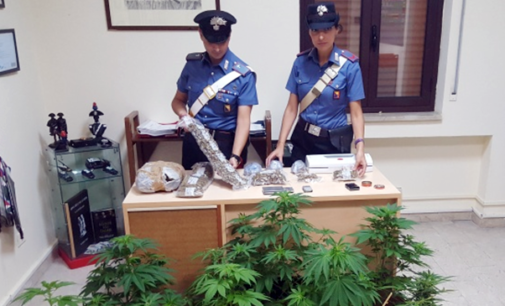 MESSINA – 3 kg di marijuana, occultati in sacchetti sottovuoto celati in diversi nascondigli dell’abitazione. Un arresto