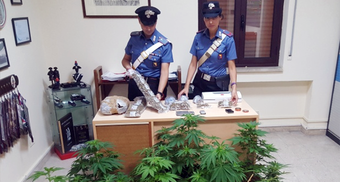 MESSINA – 3 kg di marijuana, occultati in sacchetti sottovuoto celati in diversi nascondigli dell’abitazione. Un arresto
