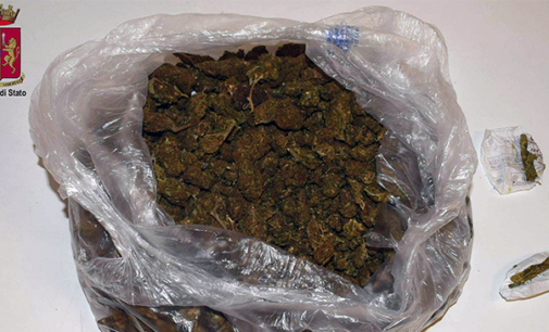 MESSINA – Viaggiava su uno scooter  con a bordo 516 grammi di marijuana. Arrestato 63enne