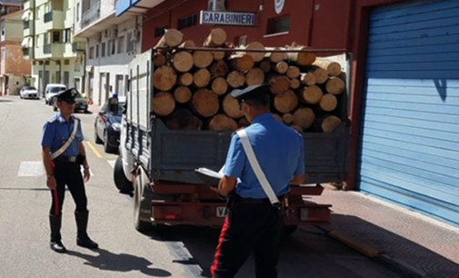 MIRTO – Arrestato operaio forestale per furto aggravato di legname in area demaniale