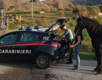 PATTI – In zona C.da Belfiore controllati due calessi trainati da altrettanti cavalli. Verosimilmente avevano appena concluso una competizione illegale su strada