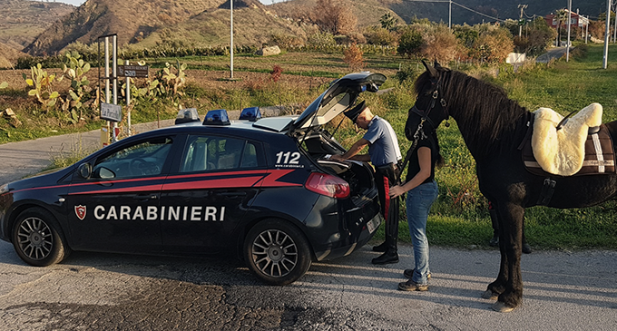 PATTI – In zona C.da Belfiore controllati due calessi trainati da altrettanti cavalli. Verosimilmente avevano appena concluso una competizione illegale su strada