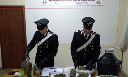 BARCELLONA P.G. –  Arrestati in flagranza due fratelli per detenzione ai fini di spaccio di sostanze stupefacenti. Sequestrati 2 kg di marijuana