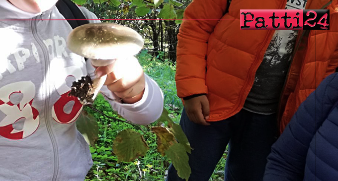 PATTI – I. C. Lombardo Radice. Avviato e realizzato un progetto per far comprendere ai ragazzi la tradizione micologica del territorio