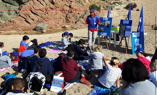 EOLIE – ”Delfini Guardiani”. Il progetto di educazione ambientale di Marevivo coinvolge anche studenti delle Isole Eolie