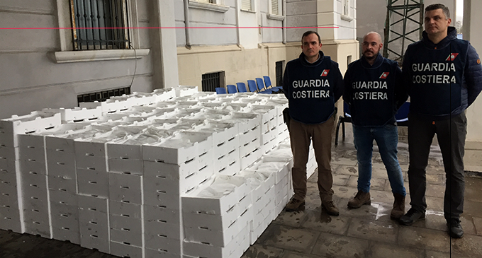 MESSINA – Sequestrati 1.340 Kg di ”novellame di sardina” meglio conosciuta localmente come “neonata”