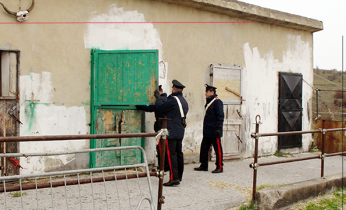 S. STEFANO DI CAMASTRA – Controlli accentuati a Caronia, S. Stefano di Camastra e San Fratello. Denunce e segnalazioni